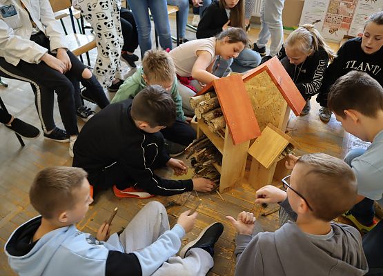 uczniowie tworzą domki dla owadów