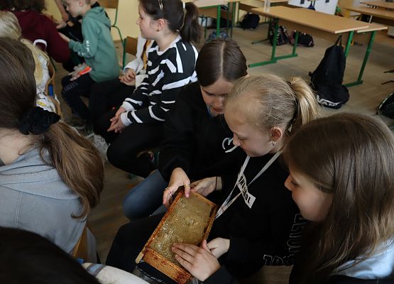 dzieci oglądają plaster miodu