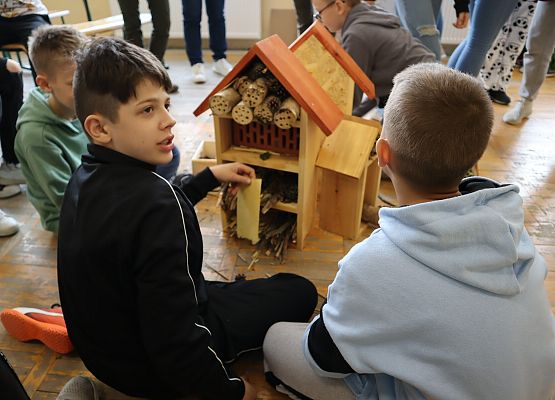 chłopcy oglądają domek dla owadów