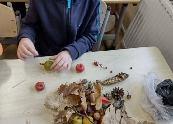 uczeń ogląda skarby jesieni