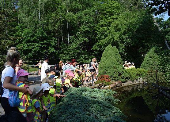 przedszkolaki w gdańskim ZOO