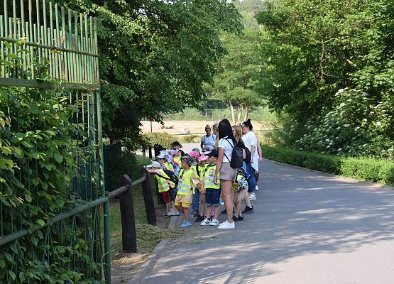przedszkolaki w gdańskim ZOO