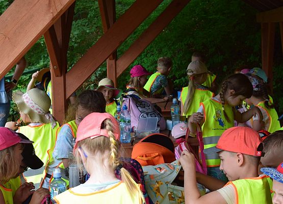 przedszkolaki w gdańskim ZOO