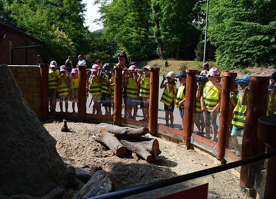 przedszkolaki w gdańskim ZOO