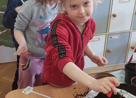 dzieci sadzą roślinki