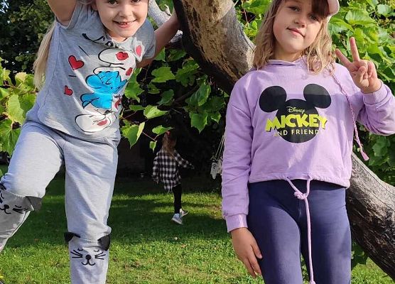 dzieci stoją na drzewie