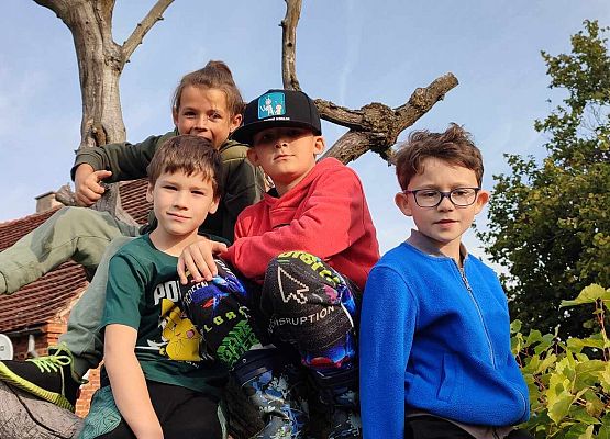 uczniowie bawią się ba drzewie