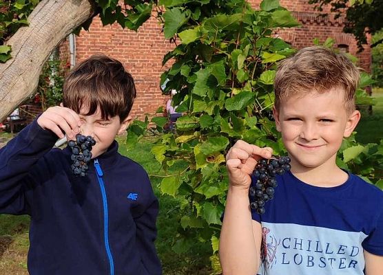 uczniowie trzymają winogrona