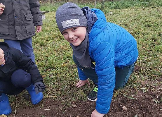chłopiec sadzi cebulki