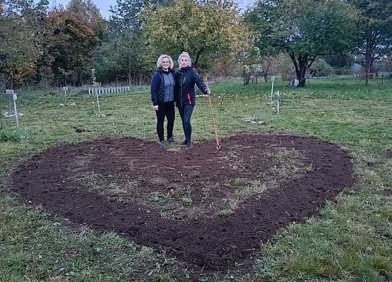 serce , w którym będą posadzone żonkile