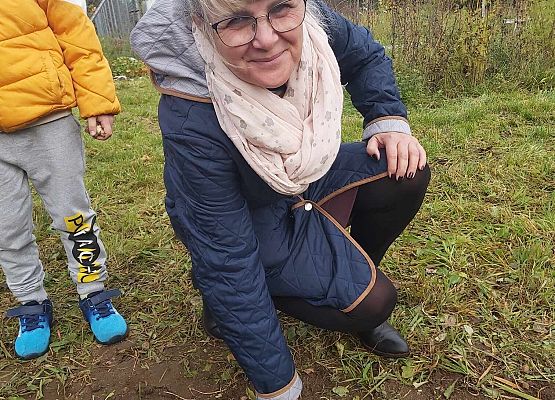 nauczycielka sadzi cebulki żonkili
