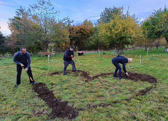 rodzice dzieci przygotowują serce, w którym będą posadzone cebulki żonkili