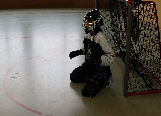 zawodniczka na bramce