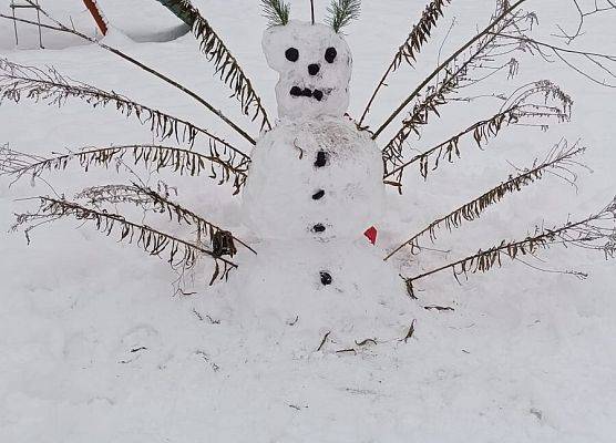 śnieżna praca uczennicy