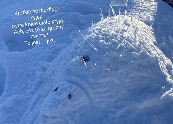 śnieżna praca dziewczynki