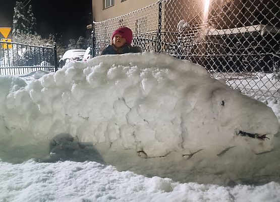 wielki karp ze śniegu