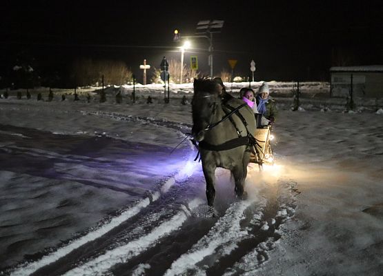 uczestnicy spotkania "wspólne ubieranie choinki"
