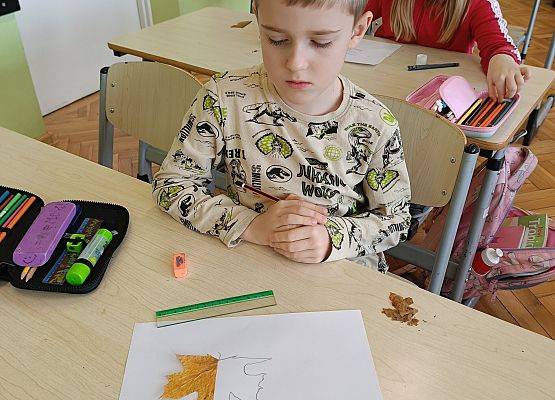 uczeń rysuje brakujące części liścia