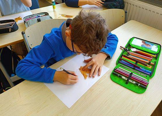 uczeń rysuje brakujące części liścia