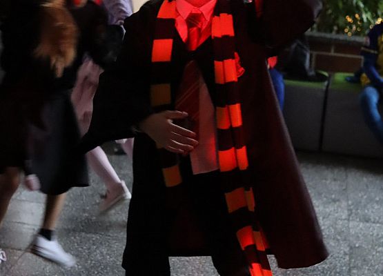 uczestnicy zabawy karnawałowej