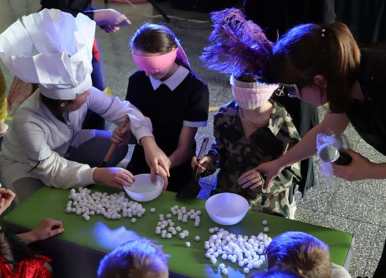 uczestnicy zabawy karnawałowej