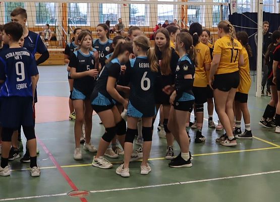 Grafika 1:  Mistrzostwa Powiatu w Mini Piłce Siatkowej Dziewcząt i Chłopców