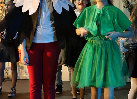 dzieci podczas występów