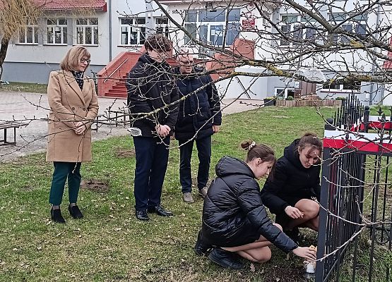 uczniowie ustawiają znicze pod dębem pamięci