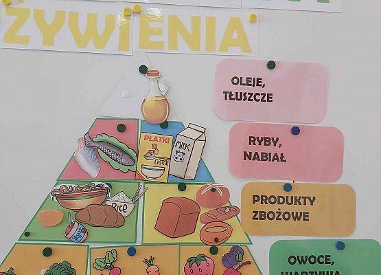 makieta piramidy żywienia