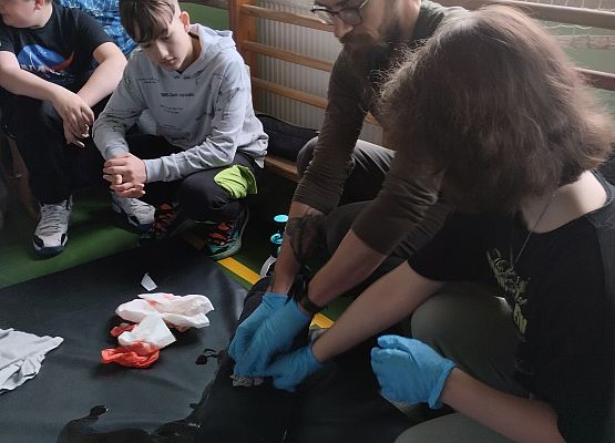 uczniowie na zajęciach z pierwszej pomocy przedmedycznej