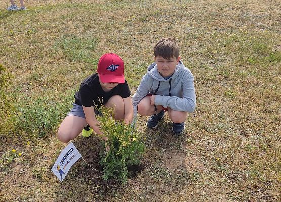 uczniowie sadzą drzewko