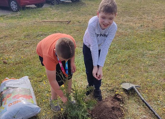 dzieci sadzą drzewka