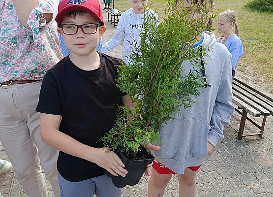 chłopiec trzyma doniczkę z krzewem