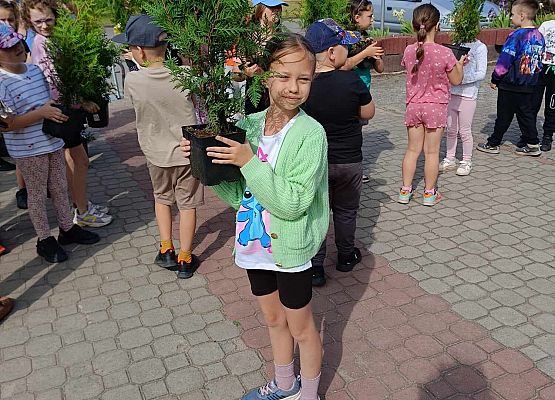 dziewczynka trzyma sadzonkę
