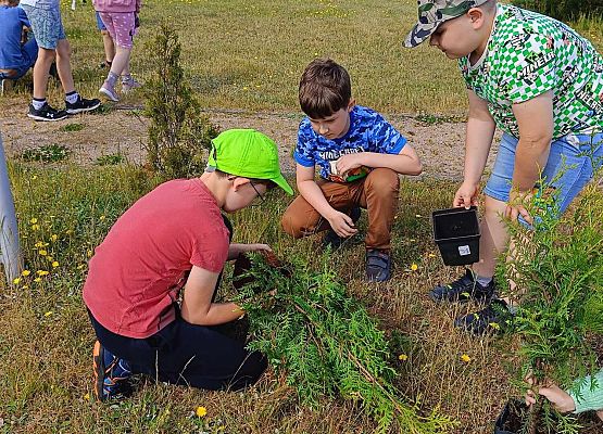 dzieci sadzą drzewka