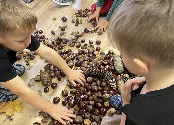 chłopcy układają kasztany