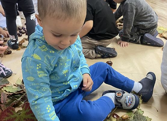 chłopiec układa liście