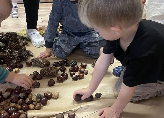 dzieci układają kasztany