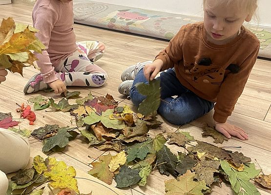 dziewczynki układają liście