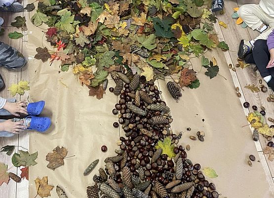 praca przedszkolaków pt. sensoryczne drzewko