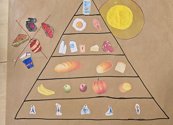 co powinien jeść Alcesta