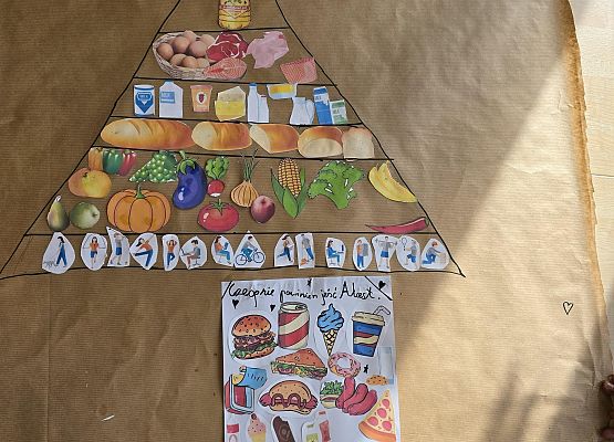 piramida żywienia dla Alcesta