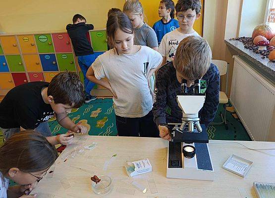 uczeń patrzy przez mikroskop