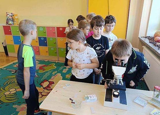 uczeń patrzy przez mikroskop