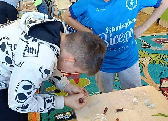 uczniowie tworzą preparaty