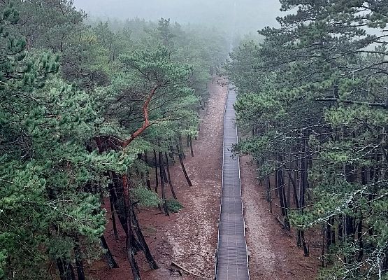 ścieżka w Słowińskim Parku Narodowym