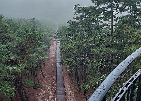 ścieżka w Słowińskim Parku Narodowym