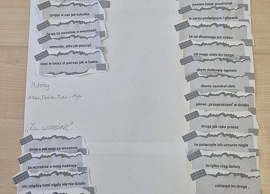 Grafika 11: Skrawki poetyckie - kolejne zadanie za nami