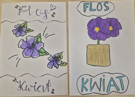 łacińskie kwiaty