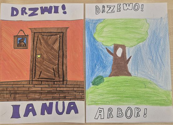 łacińskie słowa i obrazki